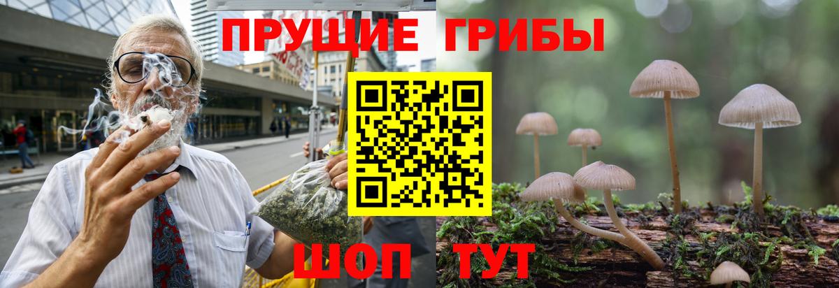 Галлюциногенные грибы GOLDEN TEACHER  Галлюциногенные грибы мухоморы  Лосино-Петровский  Вход с VPN 